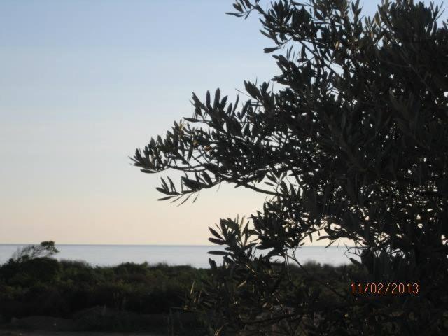 Villa T3 Bord De Mer - Vue Mer A 500 M De La Plage- Piscine Chauffee A Casetta Di A Spiaggia เซวิออน ภายนอก รูปภาพ