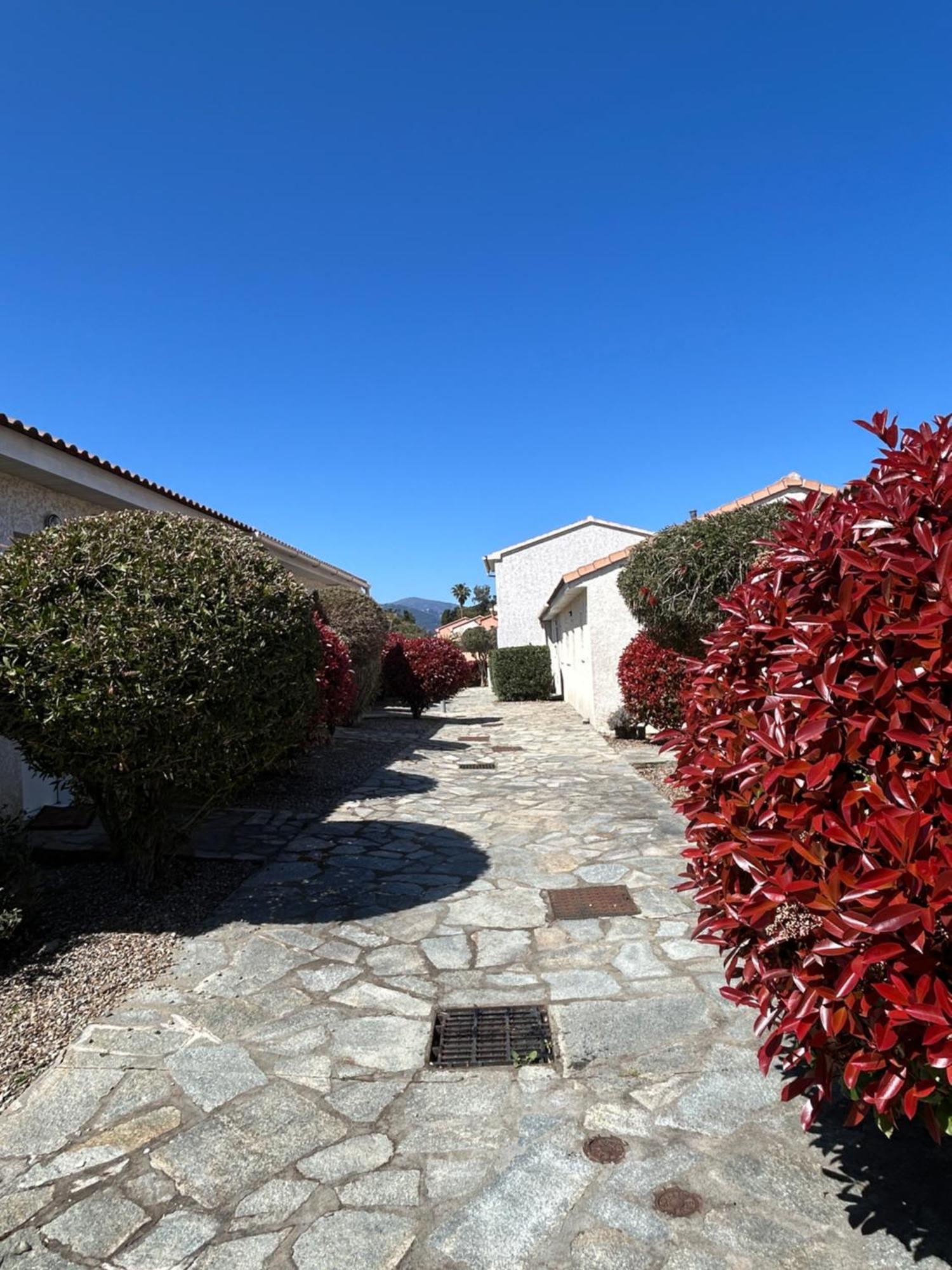 Villa T3 Bord De Mer - Vue Mer A 500 M De La Plage- Piscine Chauffee A Casetta Di A Spiaggia เซวิออน ภายนอก รูปภาพ